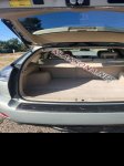 продам Lexus RX 400h в пмр  фото 2